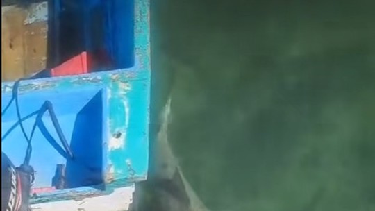 Turista britânico atacado por tubarão no Caribe foi salvo por amigos que 'lutaram' contra animal na água