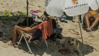 No Arpoador, por volta de meio-dia, um labrador se protege do sol enquanto tutores curtem a praia — Foto: Gabriel de Paiva / Agência O Globo