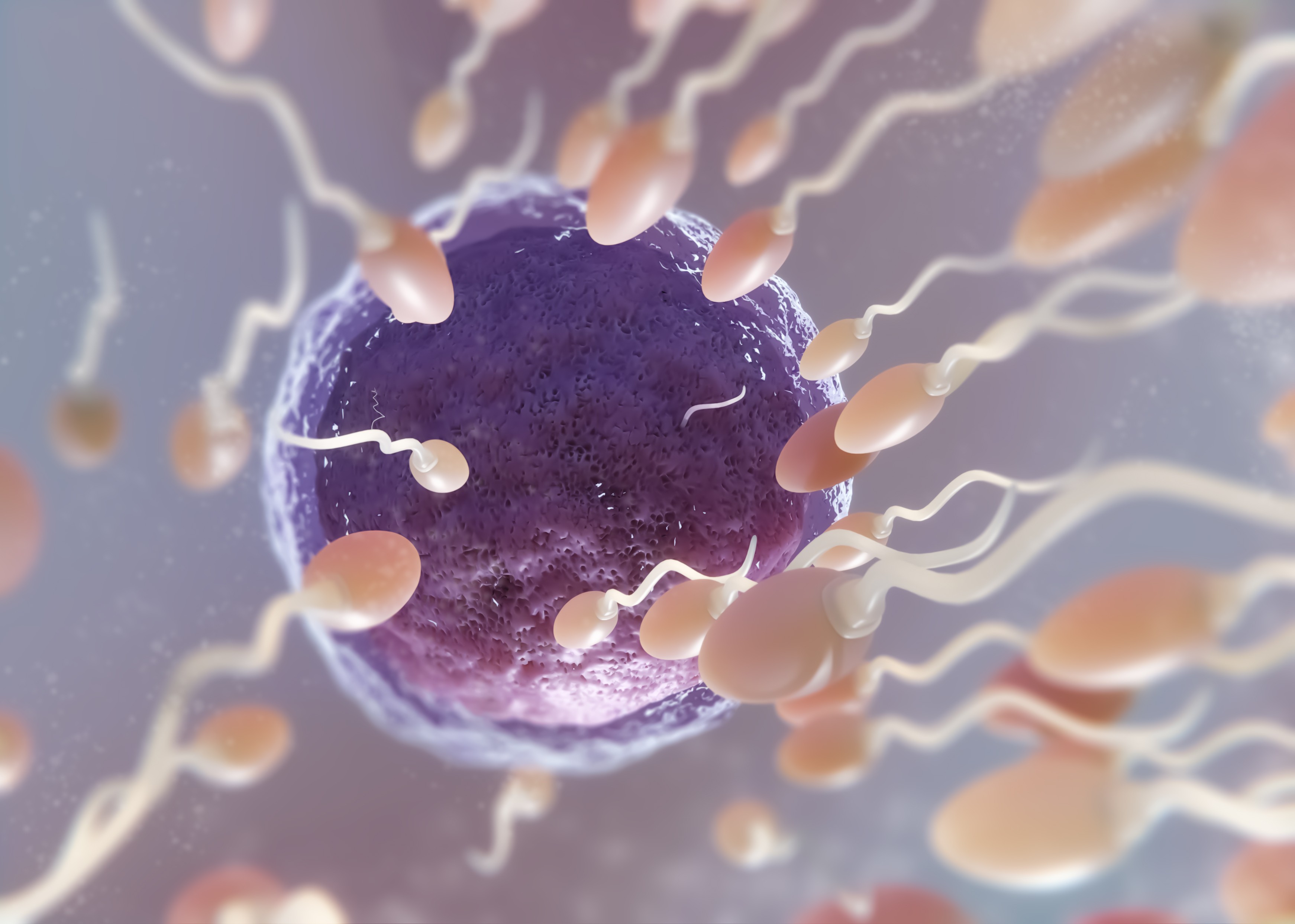IA encontra 8 espermatozoides antes 'invisíveis', e casal infértil engravida; entenda