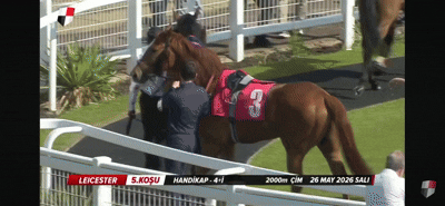 Assistente técnica é atingida por coice de cavalo momentos antes de corrida em hipódromo no Reino Unido