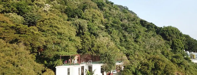 Caio Blat vende sua casa na árvore por R$ 6 milhões — Foto: Reprodução