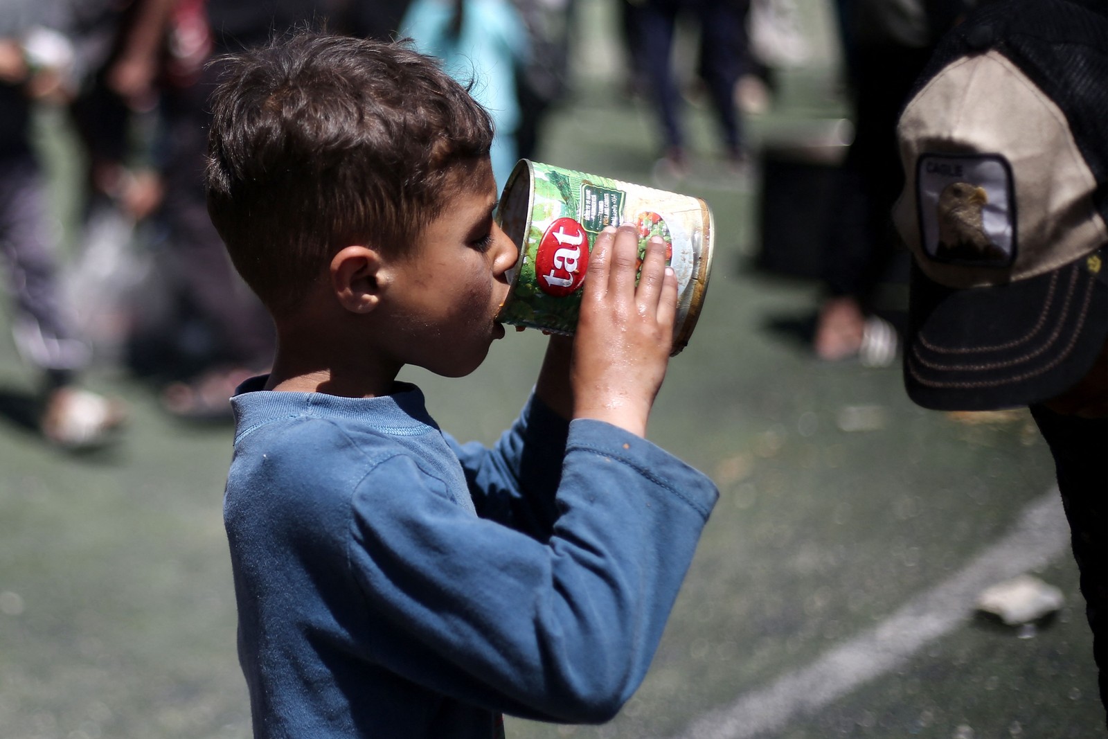 com a escassez de alimentos na faixa de gaza sitiada e devastada pela guerra, algumasfamíliaspassaram a recorder - carne de tartaruga de tartaruga como uma uma uma uma uma uma uma uma uma uma uma uma uma uma uma uma uma uma uma uma uma uma uma uma uma uma uma uma uma uma uma uma uma uma uma uma uma uma uma uma uma uma uma uma uma uma uma uma uma uma uma uma uma uma uma uma uma uma uma uma uma uma uma uma uma uma uma uma uma uma uma uma uma uma uma uma uma uma uma uma uma uma uma uma uma uma uma uma uma uma uma uma uma uma uma uma uma uma uma uma uma uma uma uma uma uma uma uma uma uma uma uma uma uma uma uma uma uma uma uma uma uma uma uma uma uma uma uma uma uma uma uma uma uma uma uma uma uma uma uma uma uma uma uma uma uma uma