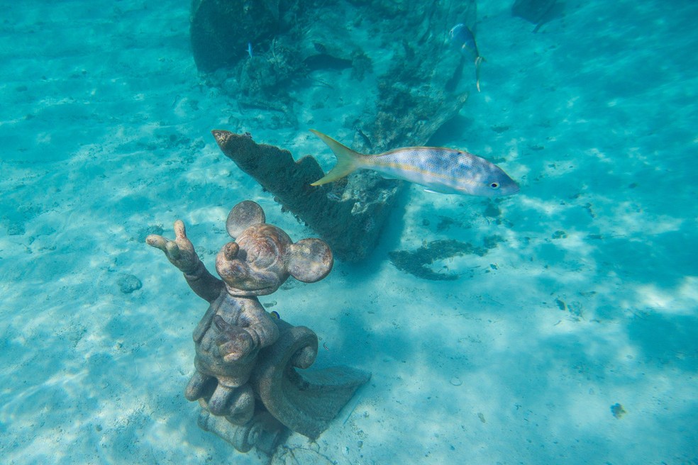 Estátua de Mickey Mouse submersa no mar em Castaway Cay, ilha privativa da Disney Cruise Lines nas Bahamas — Foto: Divulgação