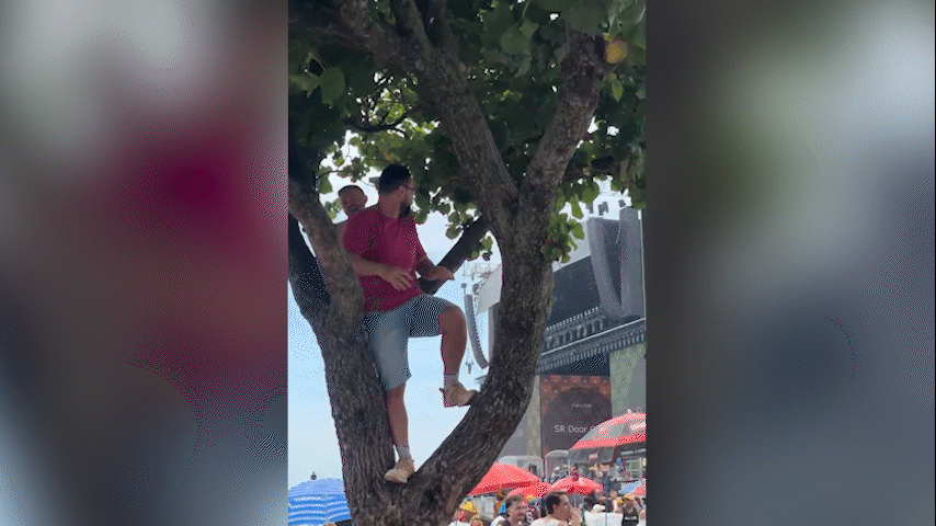 Fãs de Shakira sobem em árvores de Copacabana para garantir vista privilegiada do show