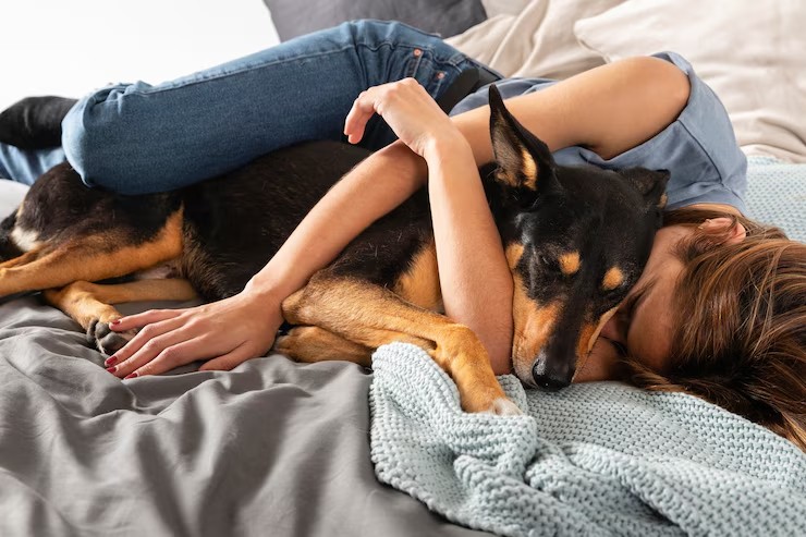 Dividir a cama com o seu bicho de estimação faz bem ou mal p