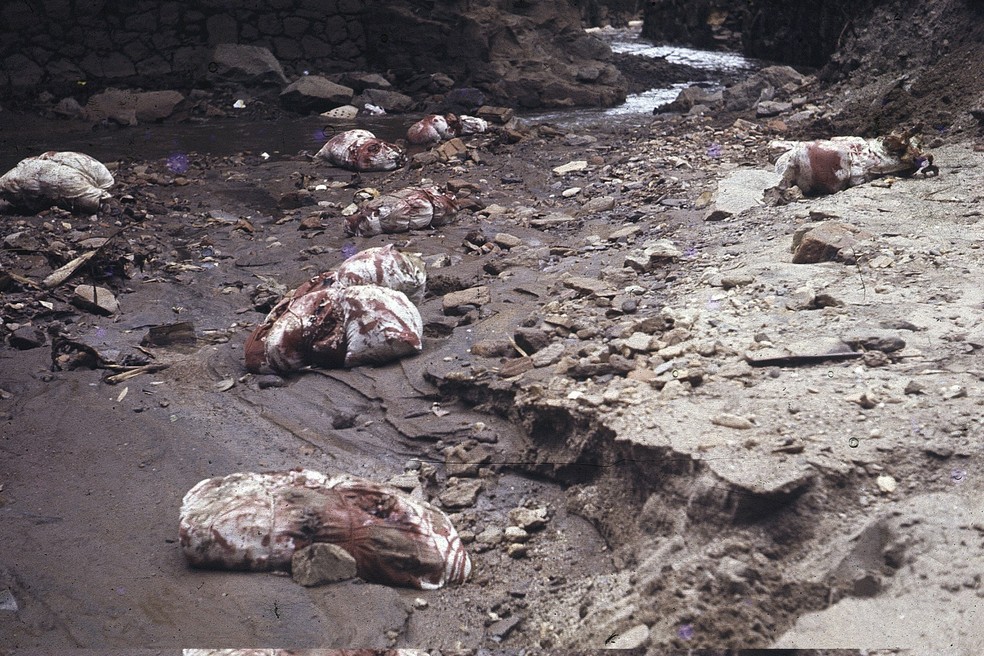 Apresentadas no Salão da Bússula, em 1969, as 'Trouxas ensanguentadas' eram relacionadas à tortura e à morte de presos políticos — Foto: Divulgação