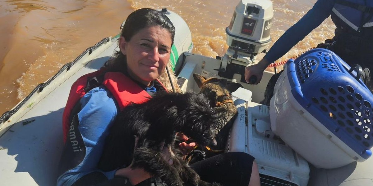 Grupos atuam no resgate de animais afetados pelas chuvas no Rio Grande Sul; veja como ajudar 
