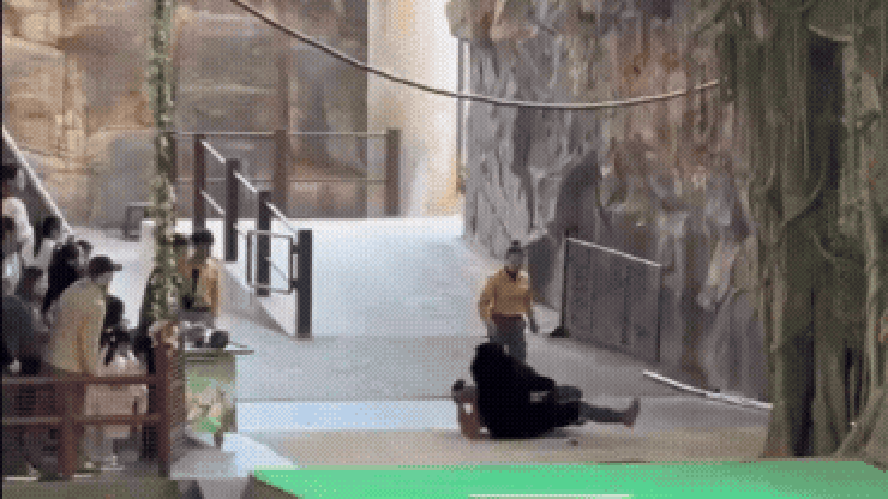 Momento do ataque do animal no Parque Safari de Hangzhou