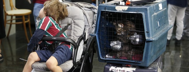 Voo da FAB chegou ao Rio de Janeiro com crianças, cães e gatos resgatados de Israel — Foto: Fabiano Rocha