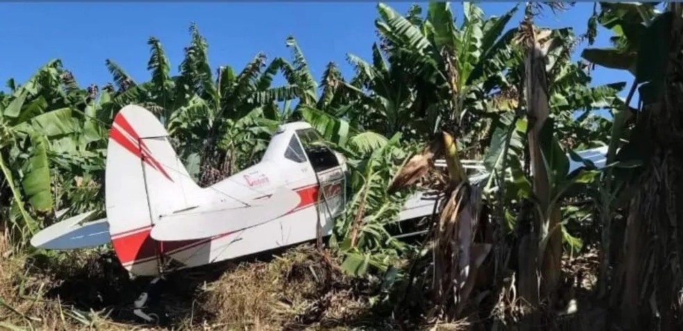 Avião cai em bananal na cidade catarinense de Corupá  — Foto: Polícia Militar/Divulgação