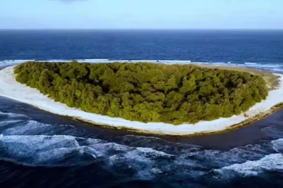 Imagens de drone da Ilha Vostok &mdash; Foto: Reprodu&ccedil;&atilde;o