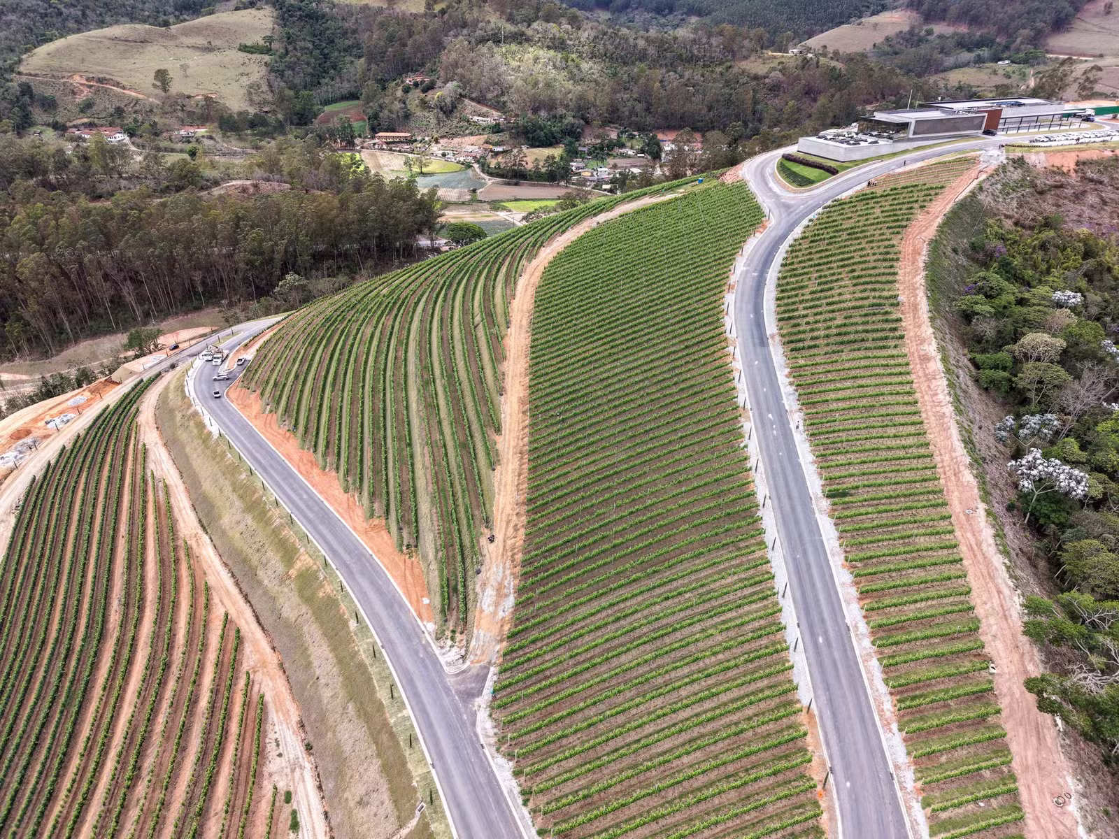 Maturano has an area of ​​202 hectares — Photo: Gabriel de Paiva/ Agência O Globo