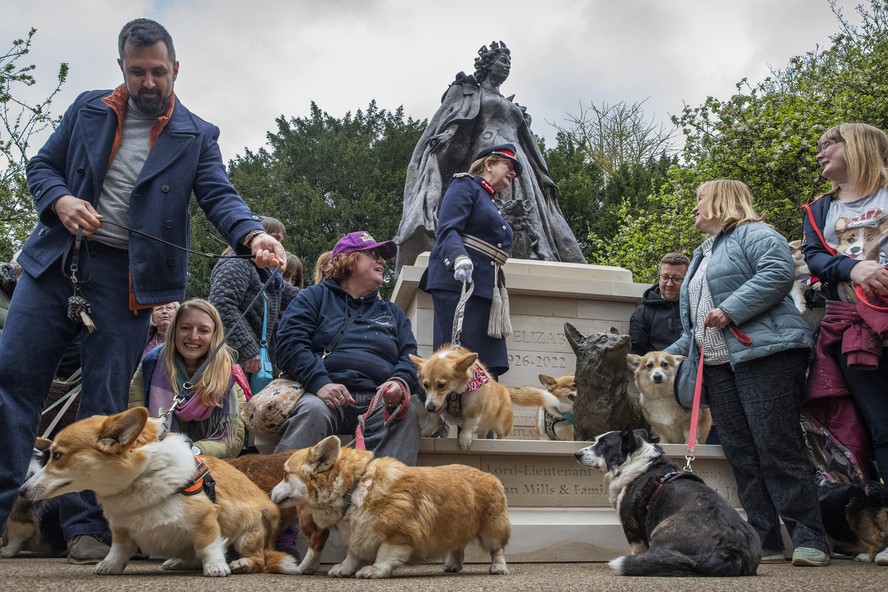 Inauguração de estátua em homenagem à rainha Elizabeth II conta com a presença de cães da raça corgi