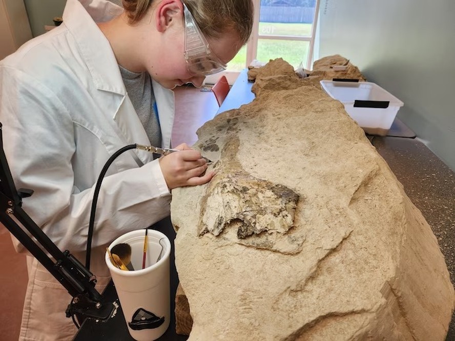 Lindsey Stallworth, de 16 anos, encontrou crânio de baleia de 34 milhões de anos nos EUA