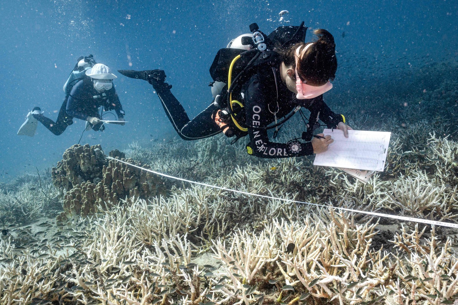 Professora de conservação da Black Turtle Dive, Sandra Rubio e sua aluna de conservação e ciência cidadã Nannalin "Fleur" Pornprasertsom pesquisando corais branqueados ao redor da ilha de Koh Tao, no sul da Tailândia. — Foto: Foto: Lillian SUWANRUMPHA / AFP)