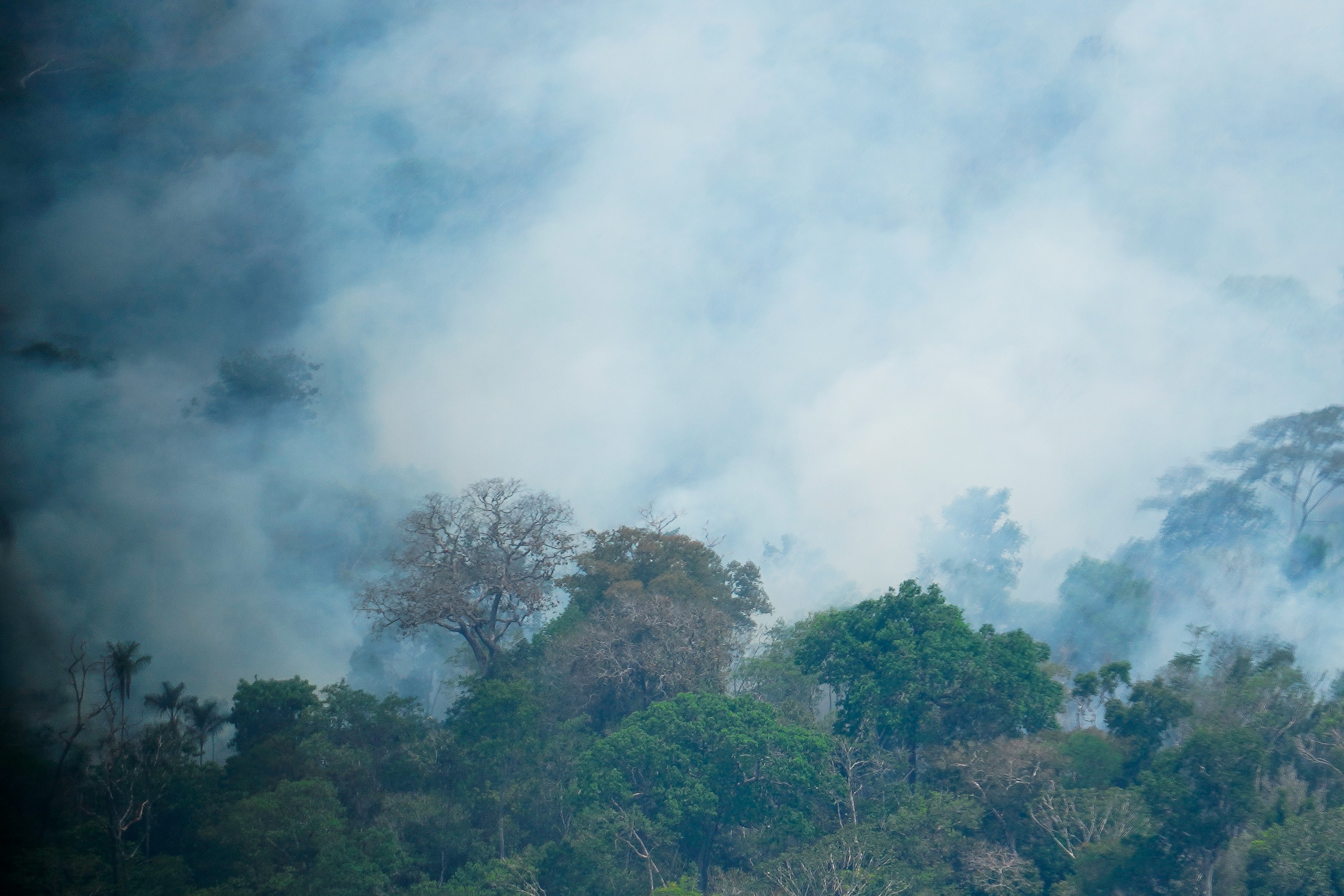 Um a cada cinco dos 38 mil focos de queimadas na Amazônia no ano ocorreu em áreas protegidas