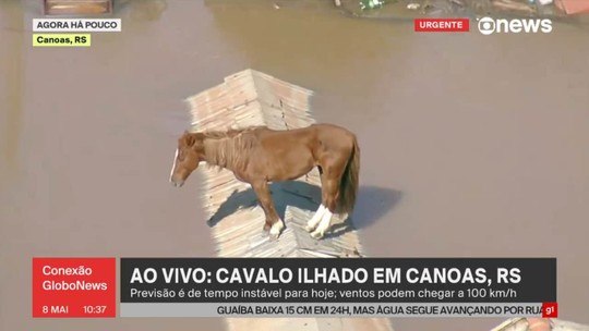 Com cobertura da tragédia no Rio Grande do Sul, audiência da Globonews cresce 16% em relação ao mesmo período de 2023