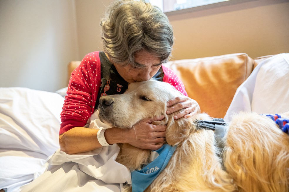 Paciente abraça um dos cães terapeutas do Pêlo Próximo durante visita ao hospital — Foto: Divulgação/Cláudia Vidal