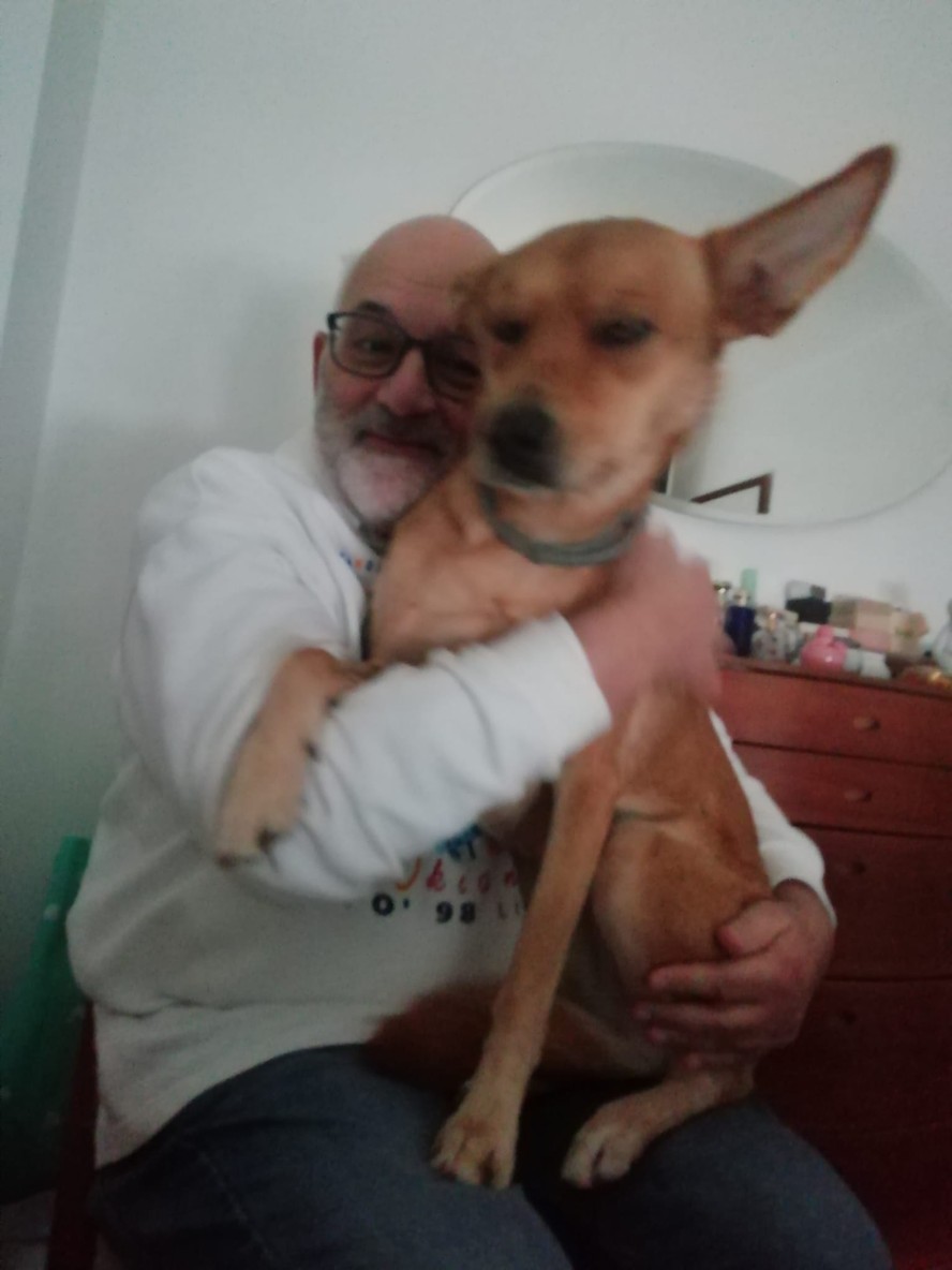 Brasileiro e cadela são atropelados na faixa de pedestres em Portugal ...