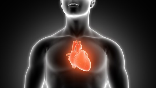 Anticorpo raro reverte doença cardíaca incurável, revela estudo