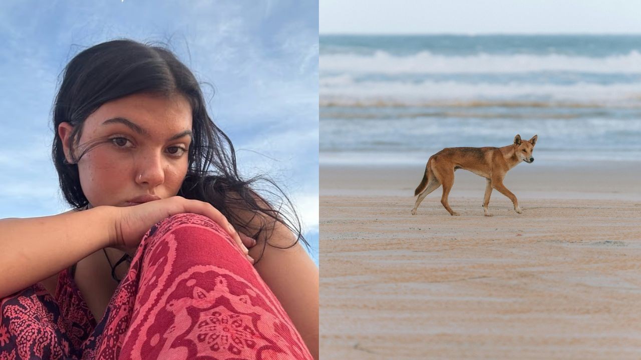 Turista canadense é encontrada morta em praia na Austrália ; polícia investiga possível ataque de dingos