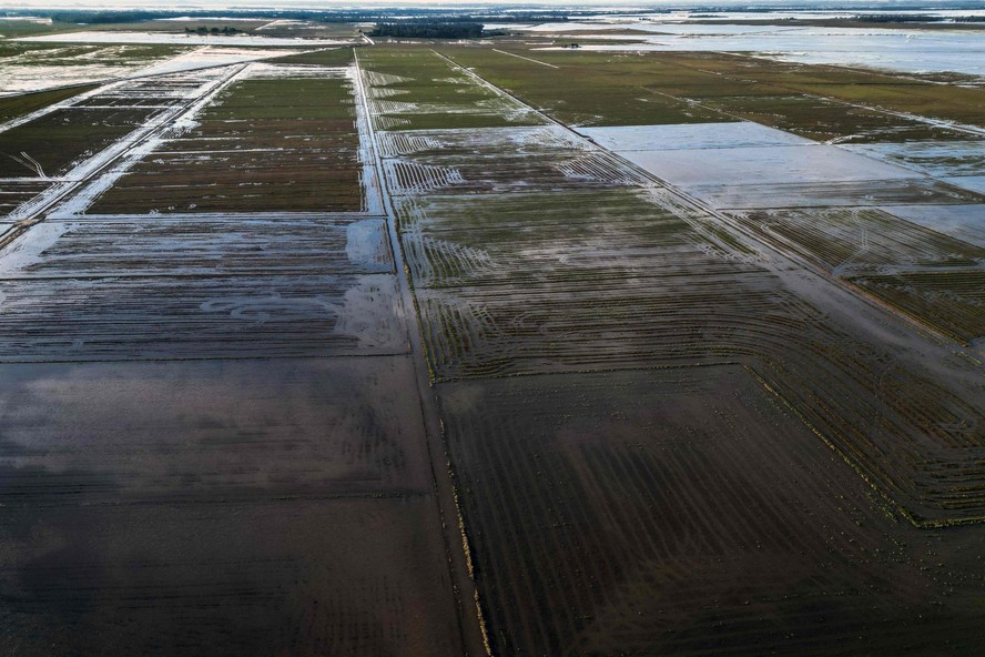 Plantação de arroz inundada no Rio Grande do Sul