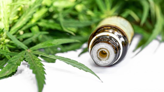Cannabis medicinal: SP define doenças que serão beneficiadas com oferta pelo SUS; saiba quais
