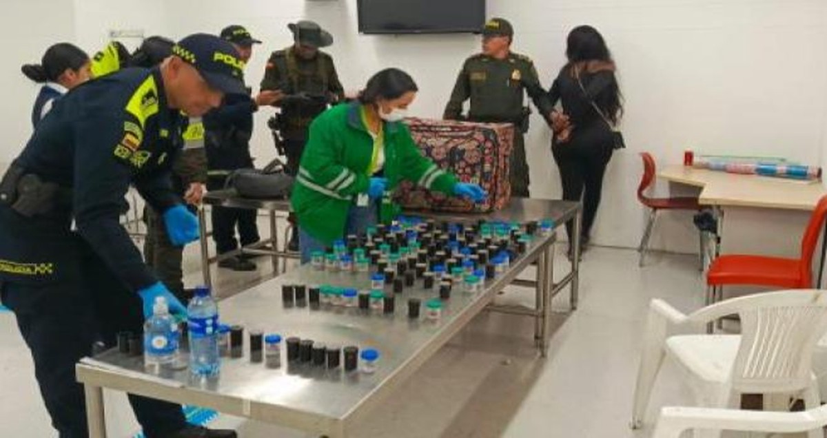 Brasileira &eacute; presa na Col&ocirc;mbia ap&oacute;s tentar traficar 130 r&atilde;s venenosas, avaliadas em R$ 650 mil; v&iacute;deo