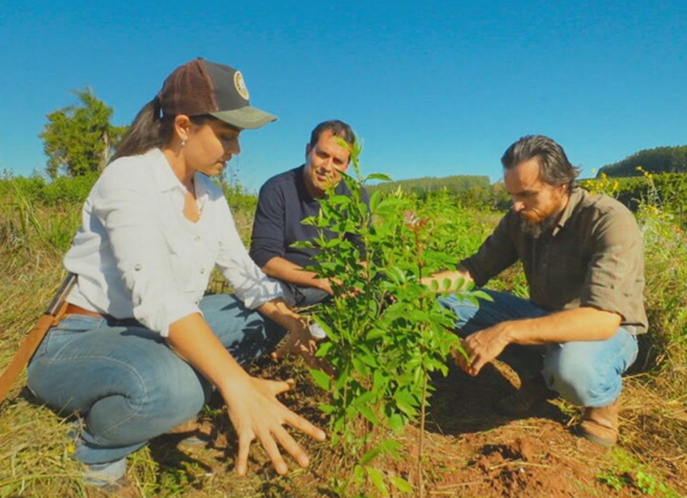 André Trigueiro com os engenheiros florestais Paula Costa e Valter Ziantoni — Foto: Divulgação