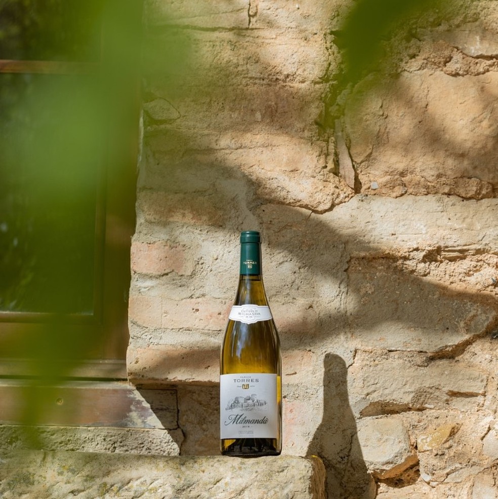 O Chardonnay Milmanda — Foto: Reprodução @familiatorres1870