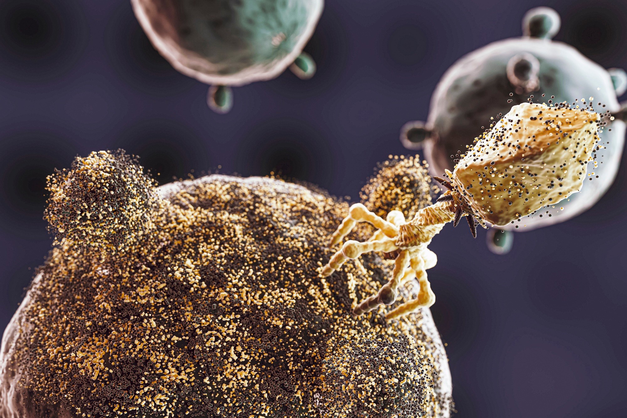 Cientistas brasileiros descobrem vírus que pode combater bactéria da pneumonia e sepse resistente a antibióticos; entenda