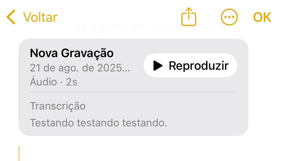 No iPhone, aplicativo Notas conta com recursos de gravação de áudio — Foto: Reprodução