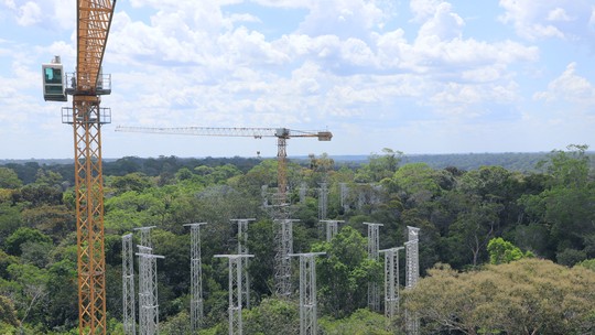 Experimento que bombeia CO2 na Amazônia completa montagem de 32 torres