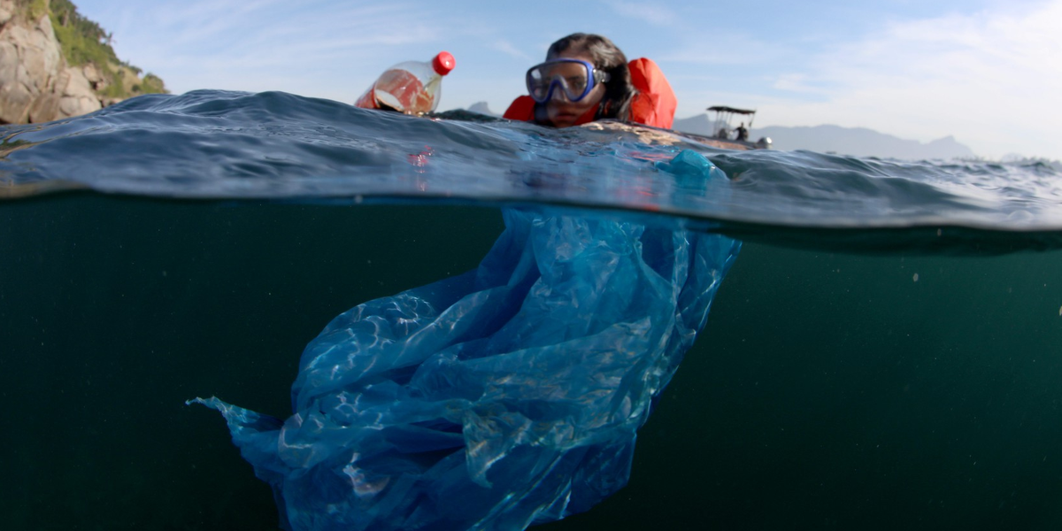 Nas Ilhas Cagarras, o lixo invisível com plástico e microplástico ameaça a vida no arquipélago