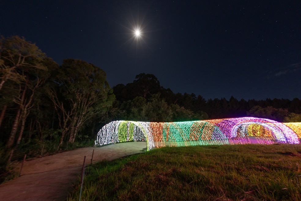 O túnel iluminado é uma das instalações do Lumni Gramado, nova atração'instagramável' da cidade na Serra Gaúcha — Foto: Divulgação