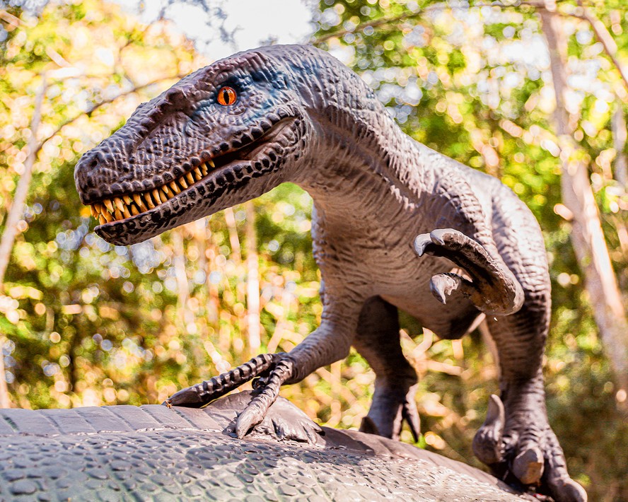 Parque dos dinossauros de Miguel Pereira abrirá as portas em