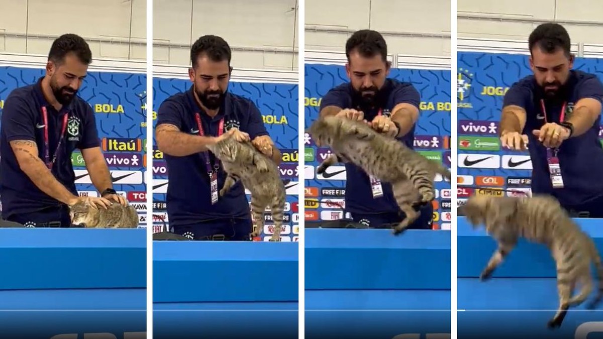 Existe um jogo brasileiro feito por gatinhos que ensina sobre a