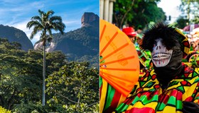 Um dia no parque, bate-bolas, Queen sinfônico e mais: um programa para cada dia da semana