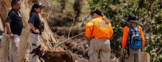 Equipes de resgate procuram sobreviventes nos arredores do rio Guadalupe, no Texas — Foto: Jim Vondruska/Getty Images/AFP
