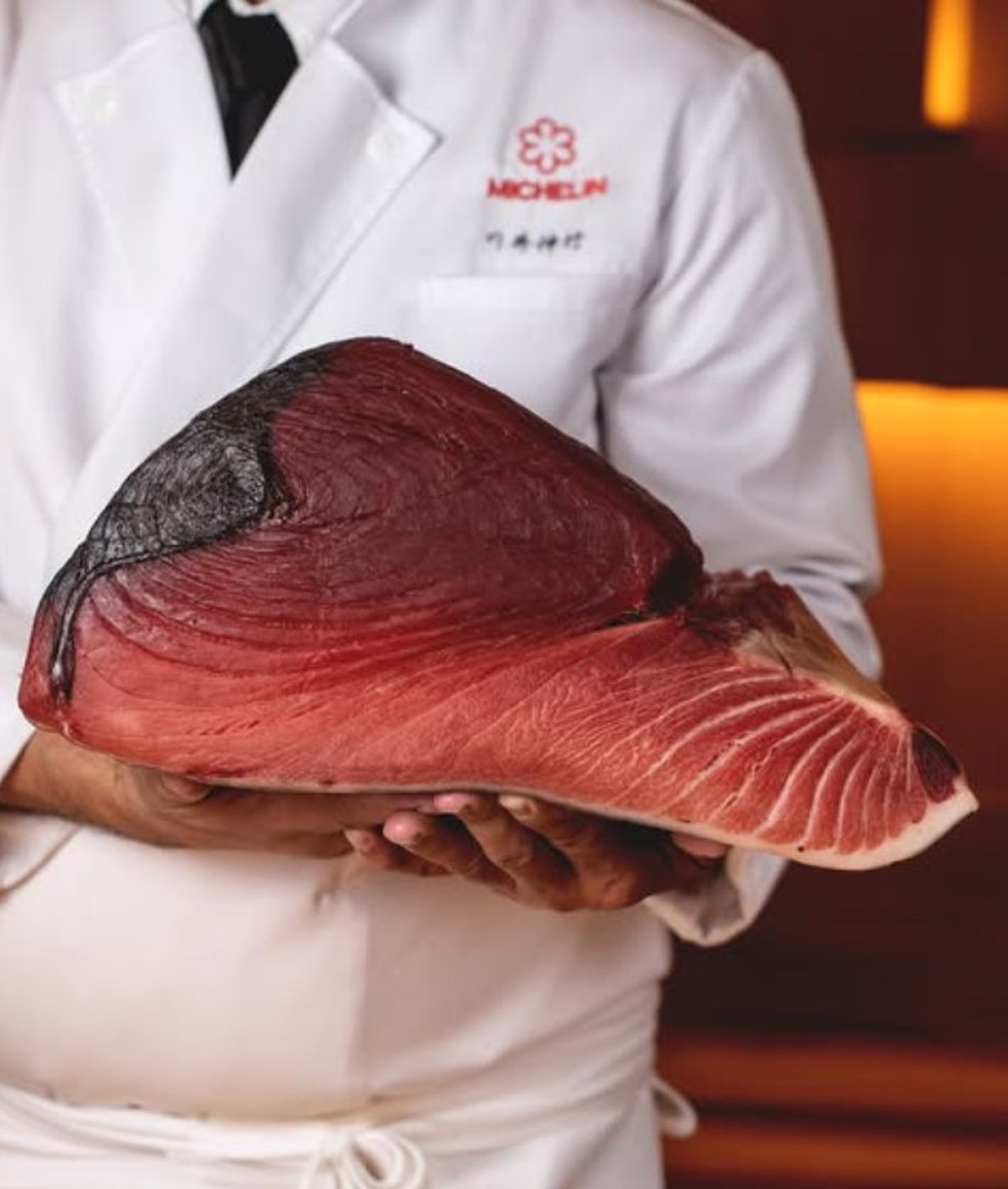 Bluefin: presença constante no San Omakase; peixe é trazido da Espanha — Foto: Divulgação / Foto de Rodrigo Azevedo