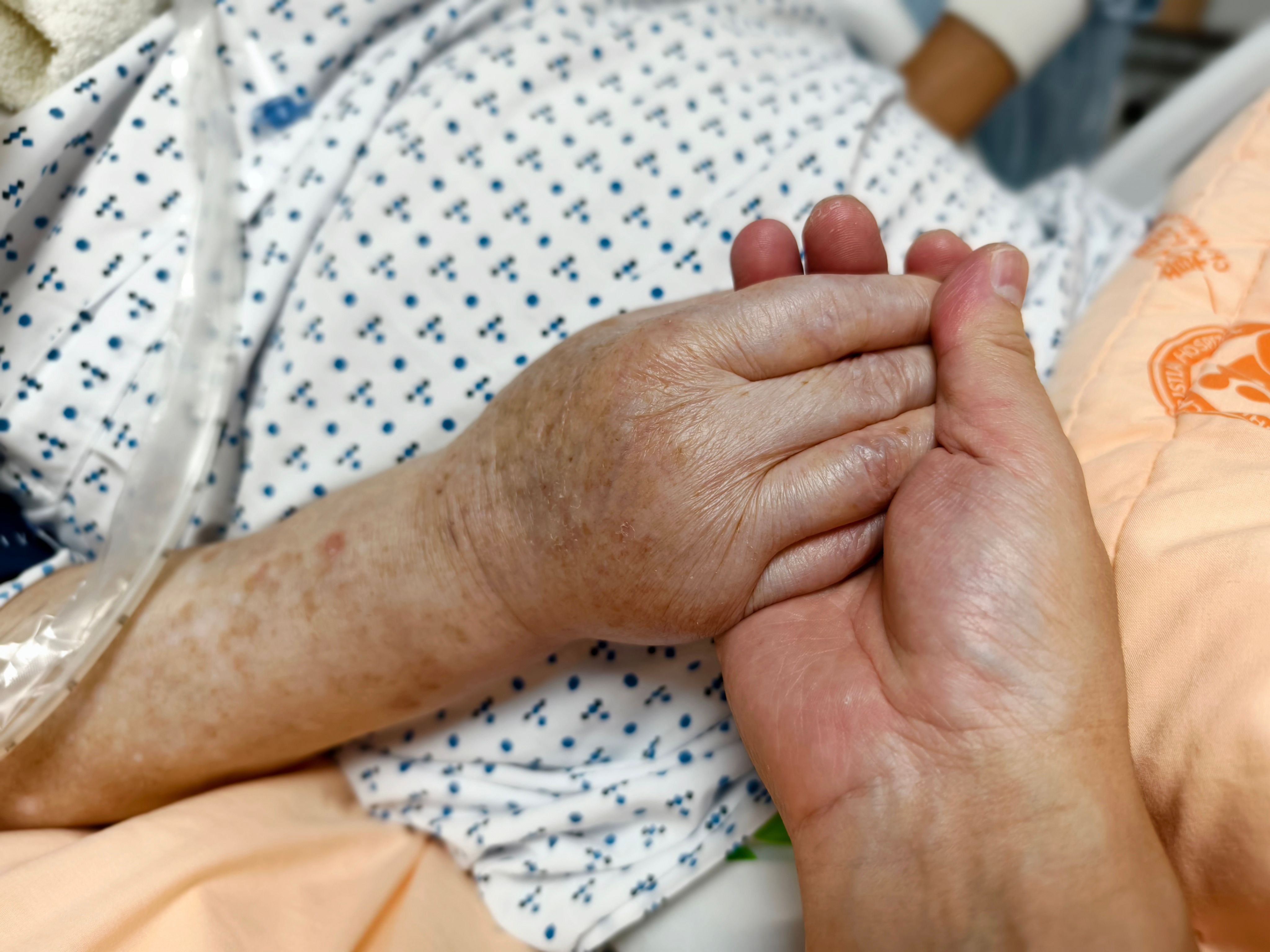 Mulher de 70 anos pede e é aprovada para eutanásia no Canadá após perder a capacidade de cozinhar para a família; entenda o caso
