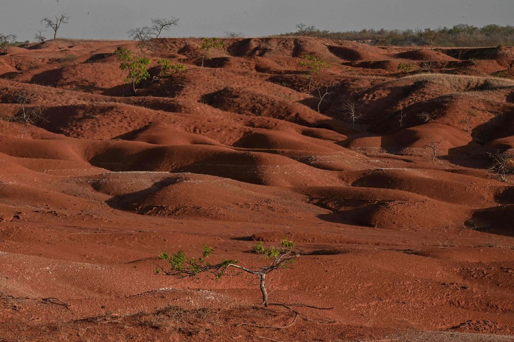 Gilbués: na desertificação, o solo perde nutrientes — Foto: Nelson Almeida/AFP