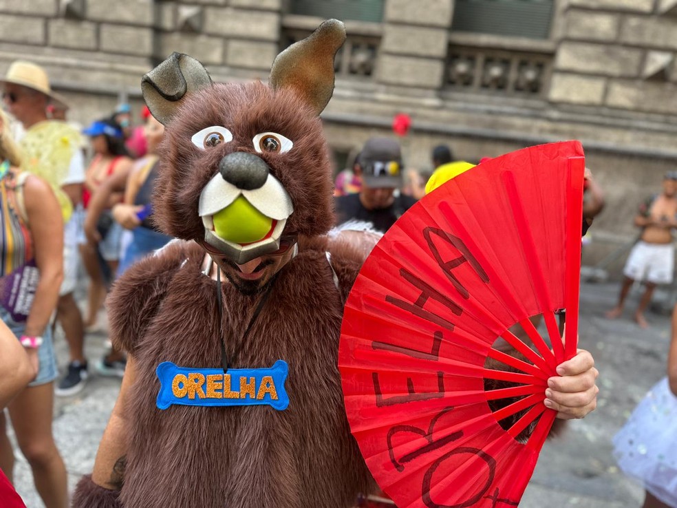 Homem faz homenagem e se fantasia de Cão Orelha — Foto: Márcia Foletto
