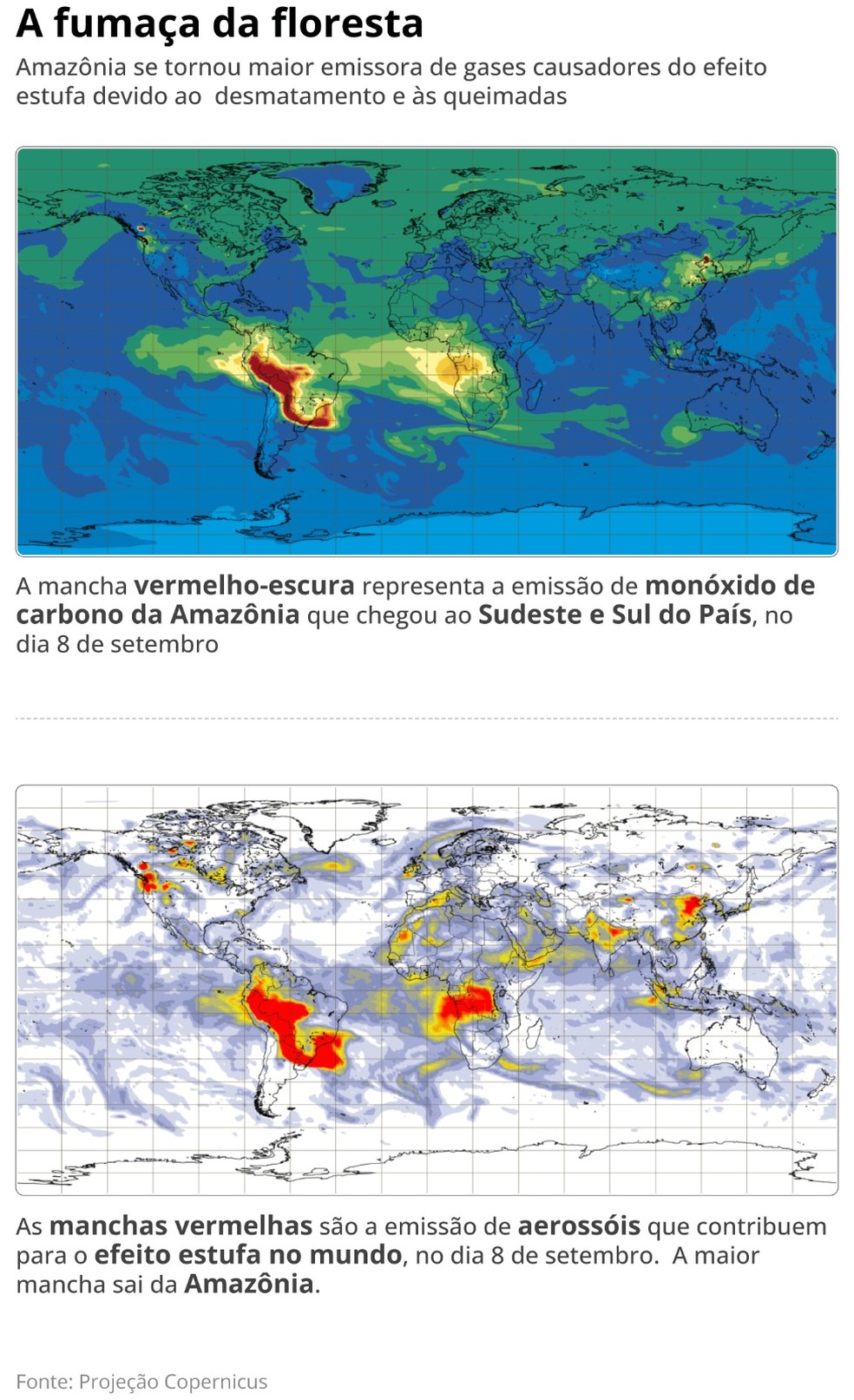 A fumaça da floresta — Foto: Arte O Globo