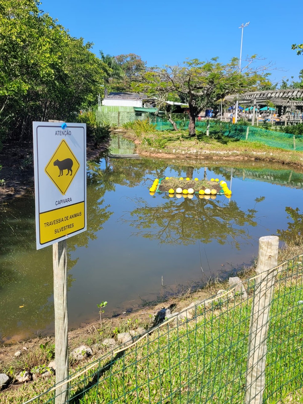 Sinalização. Área no Parque dos Patins em fase de revitalização — Foto: Foto do leitor