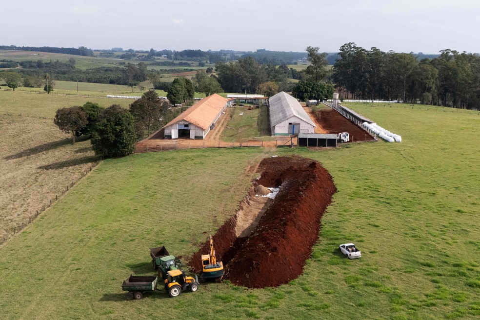 Escavadeira abre espaço para enterrar aves abatidas em granja de Montenegro, no Rio Grande do Sul, por causa do foco de gripe aviária identificado ali — Foto: Silvio Avila/AFP