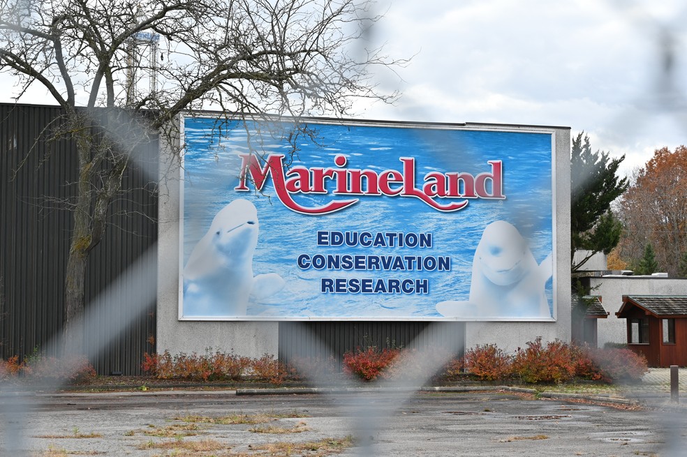 Marineland poster, at the now closed entrance to the park, visible through the fence – Photograph: DAPHNE LEMELIN / AFP