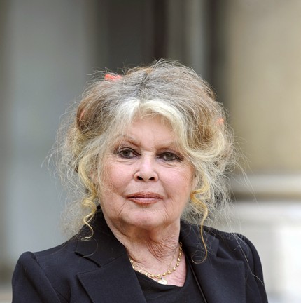 Brigitte Bardot deixa o Palácio do Eliseu, em Paris, em 27 de setembro de 2007 após uma reunião com o presidente francês Nicolas Sarkozy — Foto: Eric Feferberg / AFP