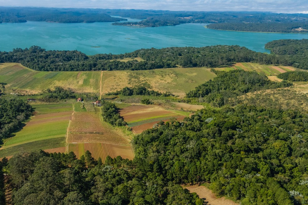 Vista aérea da área de proteção ambiental Bororé-Colônia — Foto: Divulgação