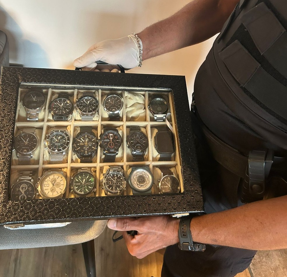 Bens apreendidos na Operação Fallax — Foto: Divulgação/PF